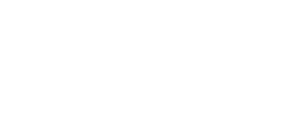 YCA - asociace charterových agentur